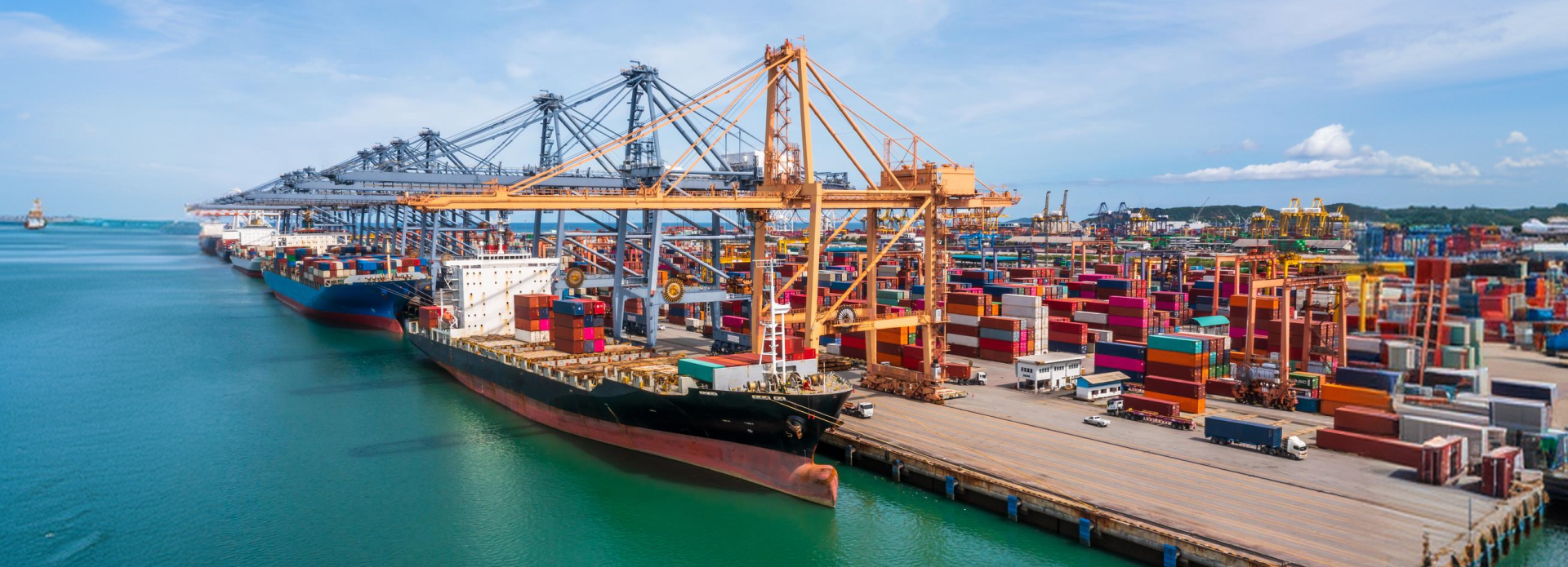 Top 10 Sea Freight Agents in India: What Separates the Best from the Rest (2025–2026)